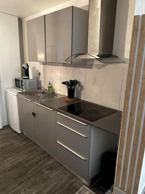 Le Cosy'Ppart - Easylife Lejlighed Bourgoin-Jallieu Eksteriør billede